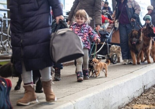 Одесситы могут получить компенсацию за размещение ВПЛ: что нужно сделать