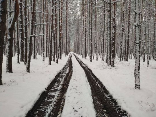 Морози посиляться, а на півдні тепло, навіть з «плюсами»: яка погода чекає українців найближчими днями