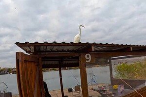 На берегах Днестра в Одесской области снесут рыбацкие постройки