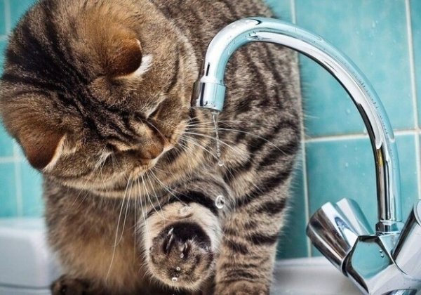 Из-за отсутствия электроэнергии два района Одессы остались без воды: водоснабжение уже возобновляют
