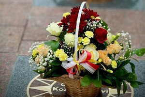 На Аллее звезд в Одессе появились новые имена