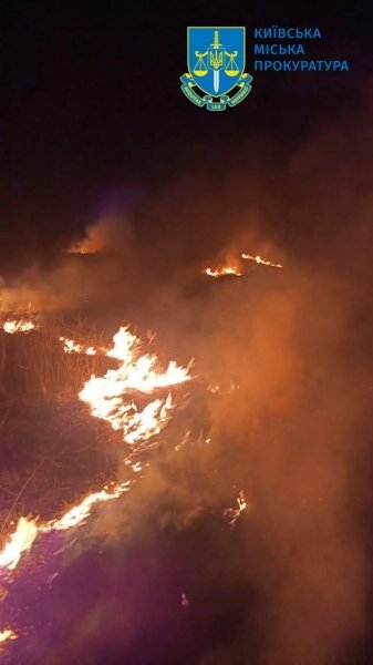 Поліція розслідує пожежу в екопарку на Осокорках у Києві як підпал, — прокуратура (фото, відео)