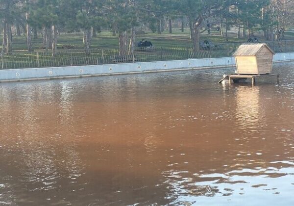 Коричневая вода в парке Победы: коммунальшики наконец-то нашли выход Коричневая вода в парке Победы: коммунальшики наконец-то нашли выход