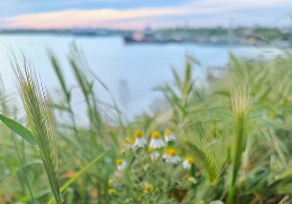 Какая погода ждет одесситов на выходных