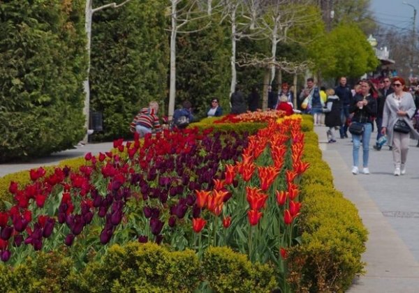 Концерт хора имени Веревки и спектакль "Камень": куда пойти в Одессе на следующей неделе