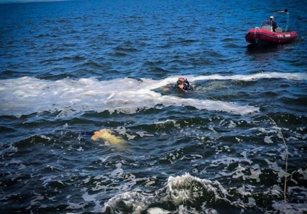 В Одессе водолазы обнаружили тело 20-летней полицейской, которую волна смыла с пирса в море (обновлено)