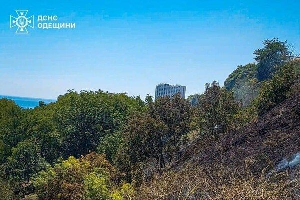 В Одессе возле Трассы здоровья вспыхнул пожар: подробности
