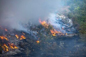 В Одессе по городу произошли масштабные пожары: подробости
