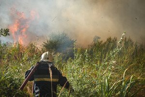 В Одессе вспыхнул масштабный пожар на полях орошения: возгорание гасили в течение нескольких часов