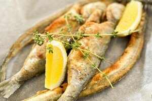 Щучья икра и форшмак: где в Одессе попробовать блюда местной кухни (часть 2)