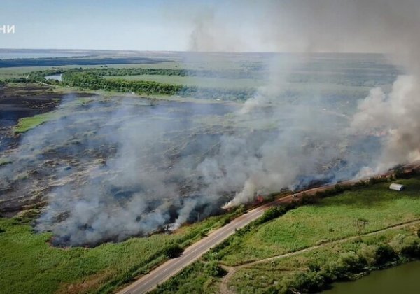 В Одесском районе наконец-то потух камыш, который горел еще неделю назад