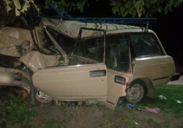 В Одесской области автомобиль врезался в дерево: травмировались три человека