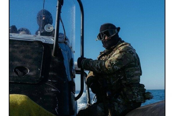 С острова Змеиный эвакуировали котов