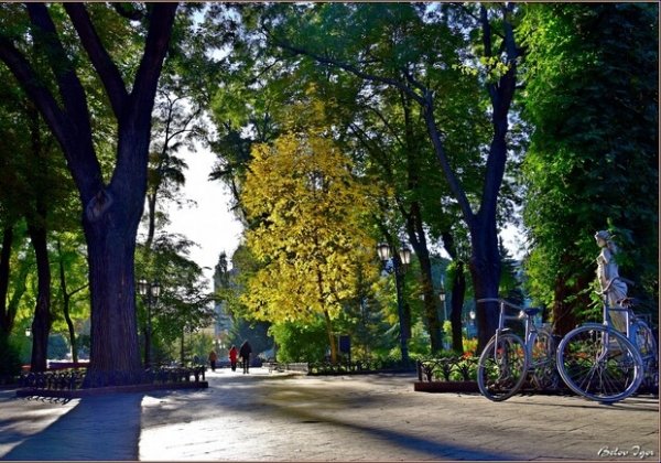 Заморозки и штормовое: какая погода будет в Одессе в эти выходные