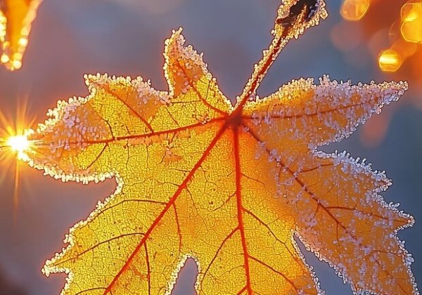 С морозами до -6 °С: какая погода будет в Одессе на следующей неделе