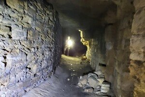В Одессе спасли лиса из катакомб: он попал там в ловушку 