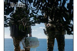С острова Змеиный эвакуировали котов
