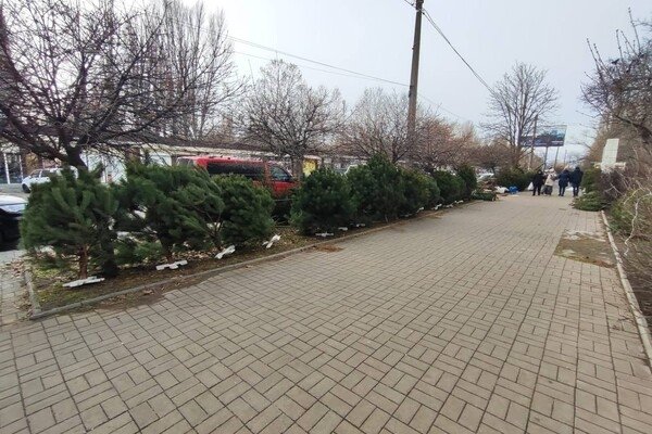 Праздник приближается: где в Одессе есть елочные базары Праздник приближается: где в Одессе есть елочные базары