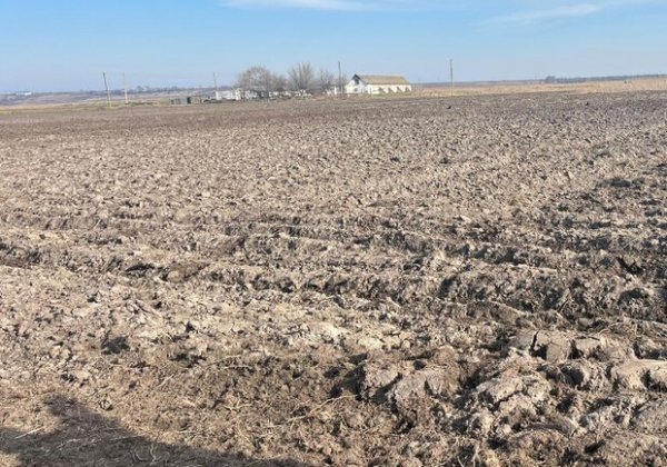 Планировал сдавать в аренду землю у озера: житель Одесской области завладел участком в охранной зоне