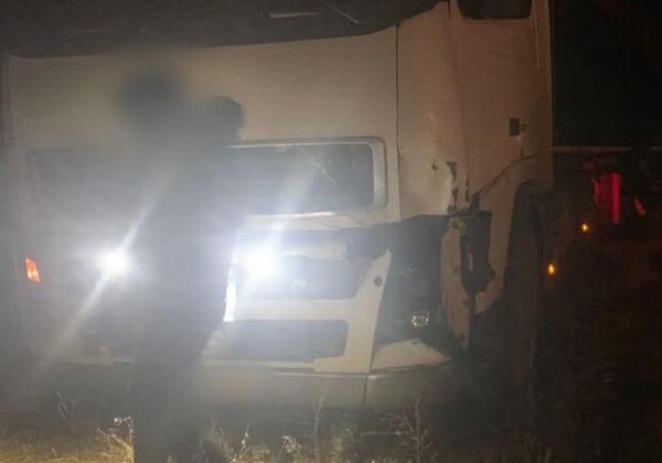 В Одесской области в ДТП погибли мужчина и лошадь