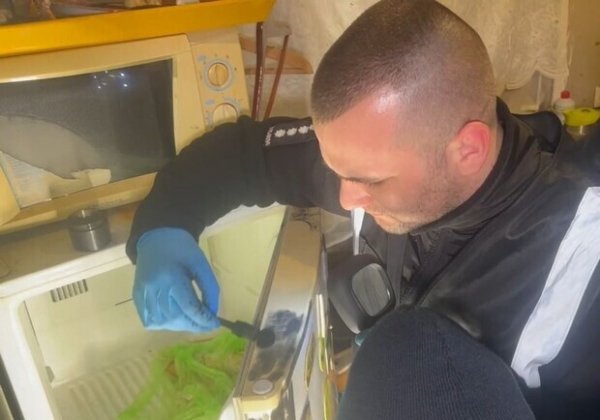 Тело малыша в морозильной камере в Одессе: трагедию прокомментировал омбудсмен