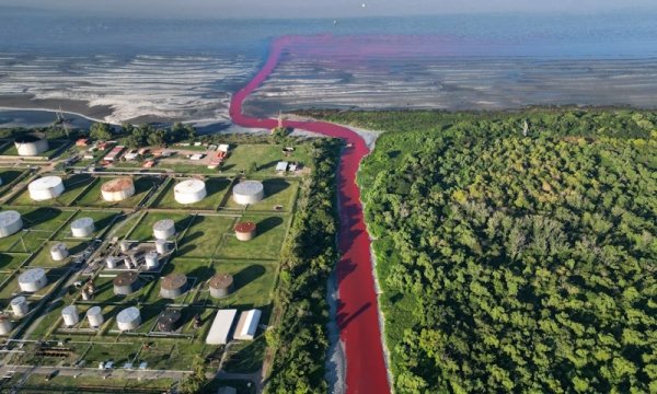 «Кровавая река»: экологическое бедствие в пригороде Буэнос-Айреса