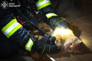 В центре Одессы горела квартира: спасли женщину и кота