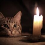 Более десятка улиц без электроэнергии: где в Одессе в среду нет света