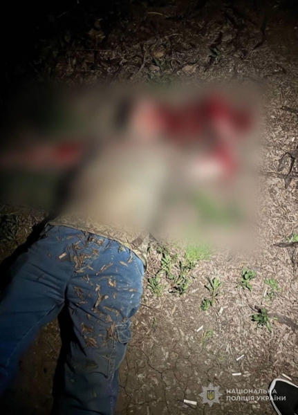 Мешканка Одещині замовила вбивство рідного брата через спадщину (фото)
