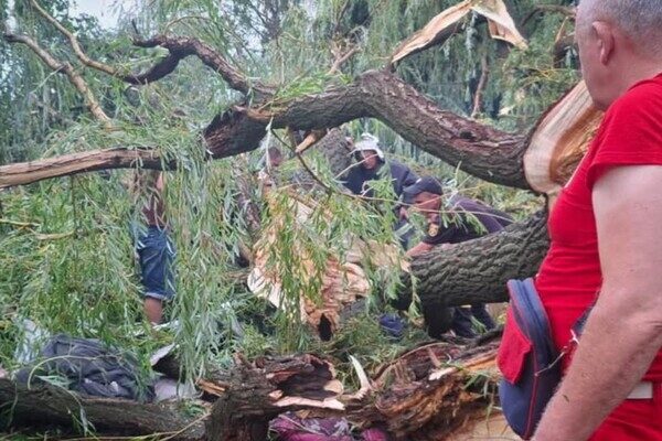 В Одесской области дерево упало на палатку с подростками: есть погибший и пострадавшие