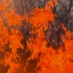 Масштабный пожар в Пересыпском районе Одессы: в атмосферу попало 25 тонн загрязняющих веществ