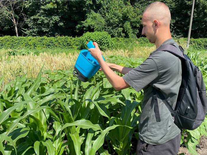 На&nbsp;стінах досі залишися сліди&nbsp;&mdash; міна влучила в&nbsp;теплицю й&nbsp;зруйнувала її: як&nbsp;19-річний студент створив &laquo;томатний рай&raquo; на&nbsp;Чернігівщині