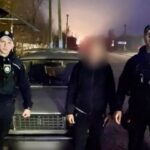 Выбросил на дорогу: в Одесской области мужчина пытался избавиться от щенков