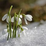Первые дни весны: какая погода будет в Одессе на этой неделе